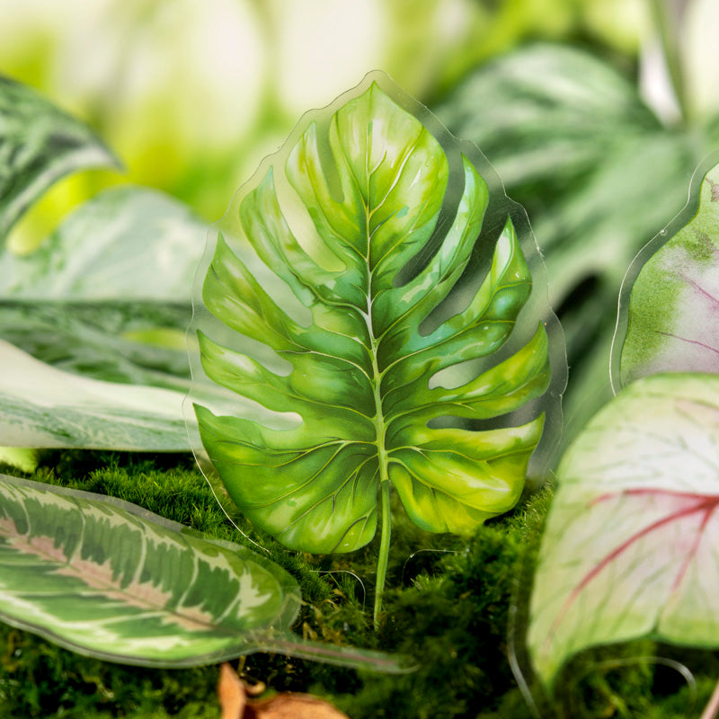 Tropical Botanica Collection Stickers