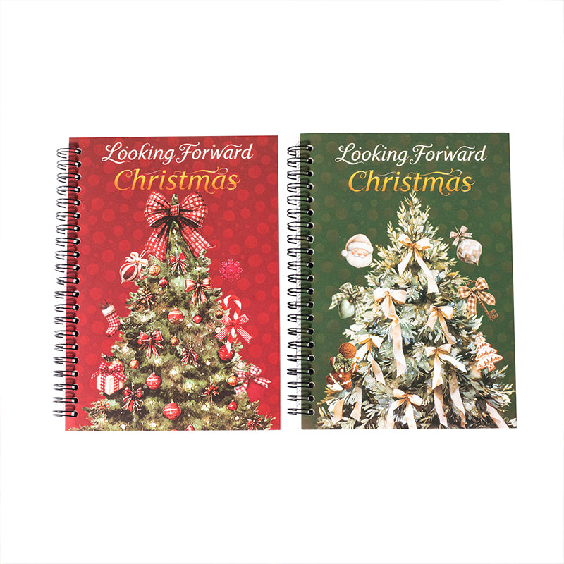 Looking Forward to Christmas Sticker Book