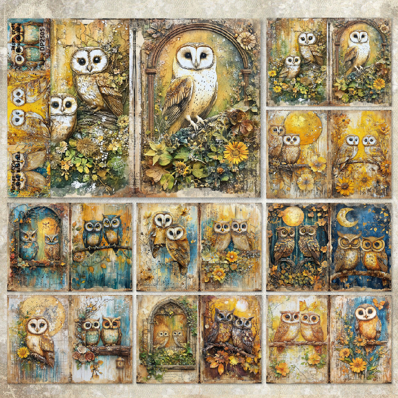 Charming owl Papers 8pcs