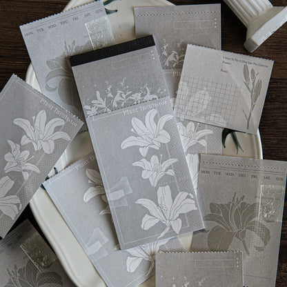 Fleeting Light Moments Memo Pad