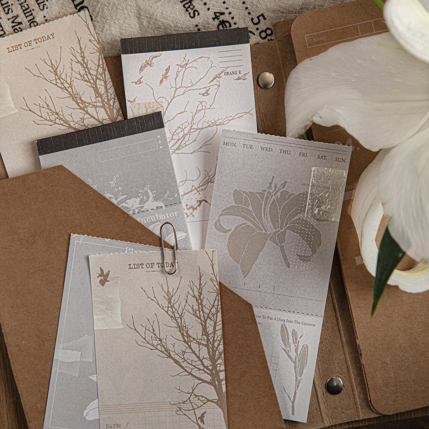 Fleeting Light Moments Memo Pad