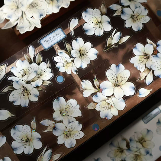 5.5cm*100cm Blue Isle Washi Tape