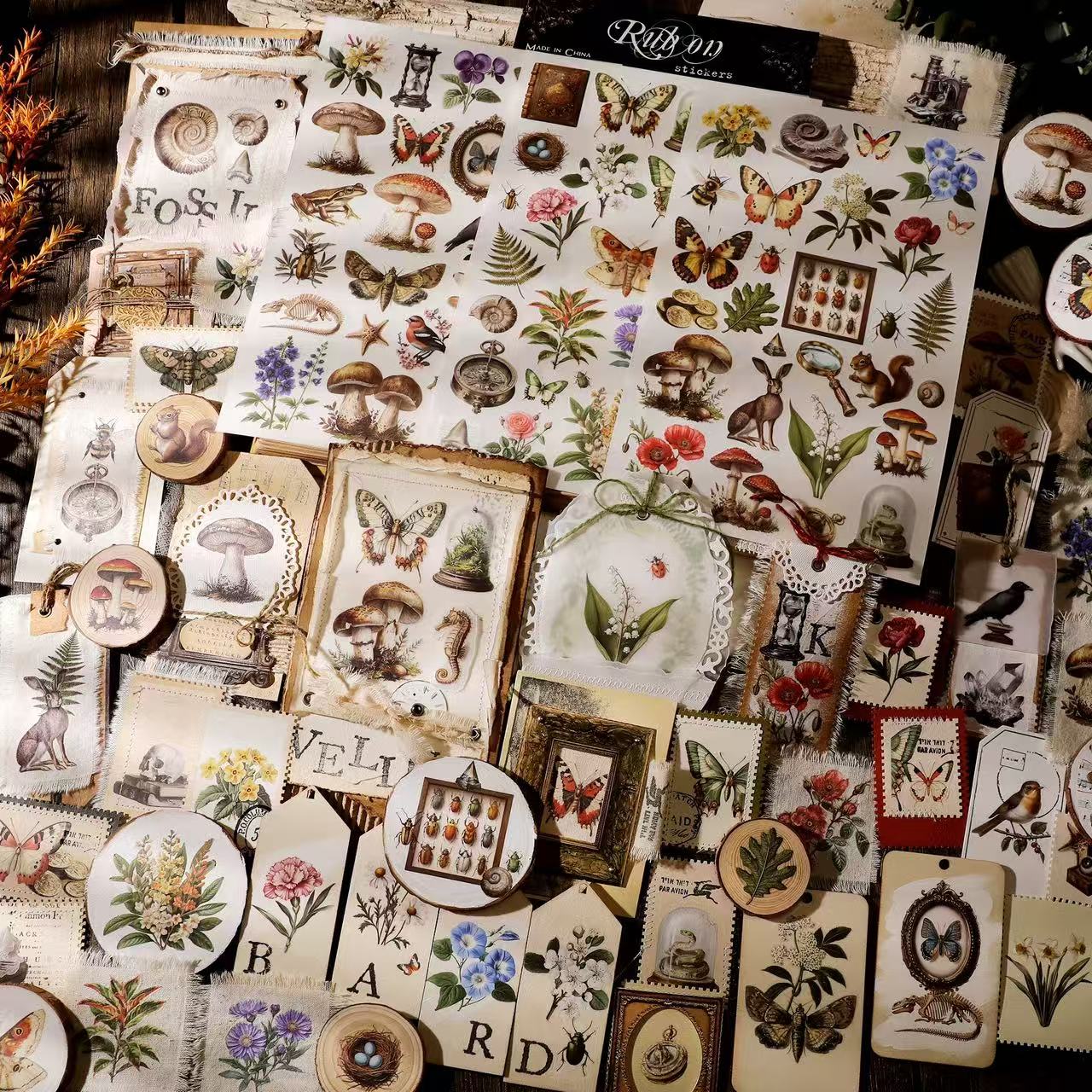 Magic Fossil Rub-on Stickers – Doodle Diarys