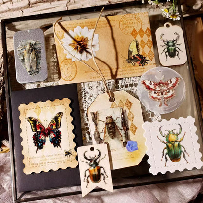 Butterfly Insect Transfer Stickers