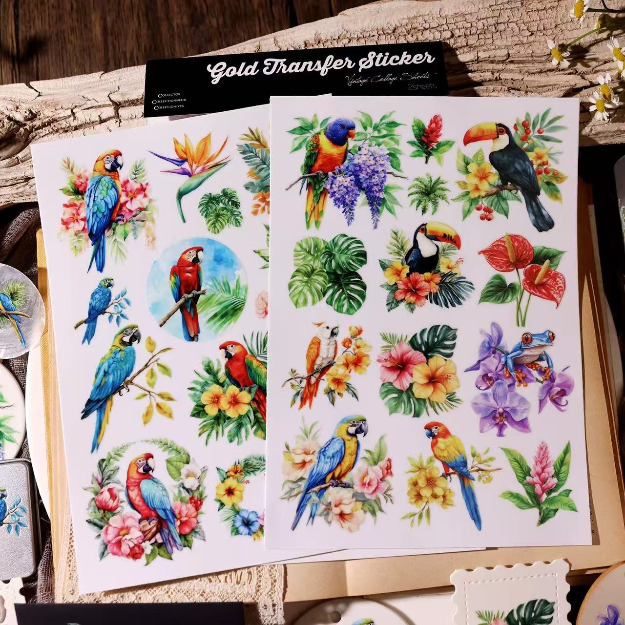 Tropical Parrot Transfer Stickers