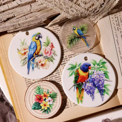 Tropical Parrot Transfer Stickers