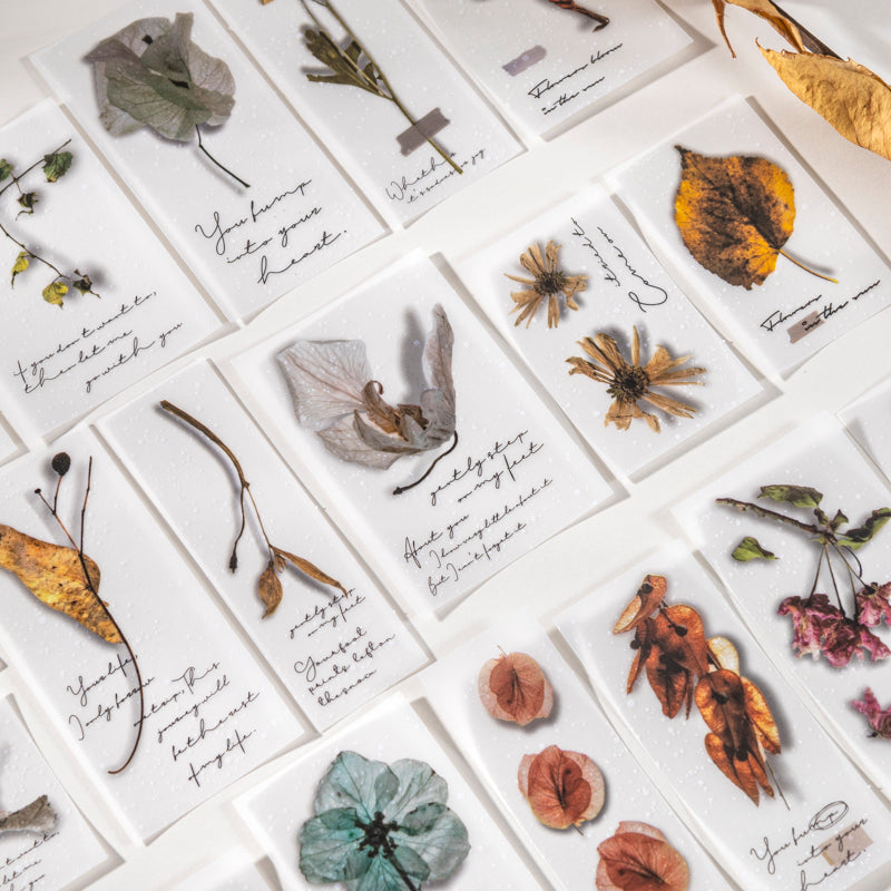 Gentle Flowers Papers