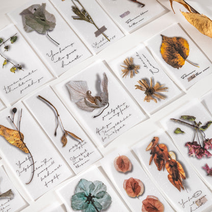 Gentle Flowers Papers