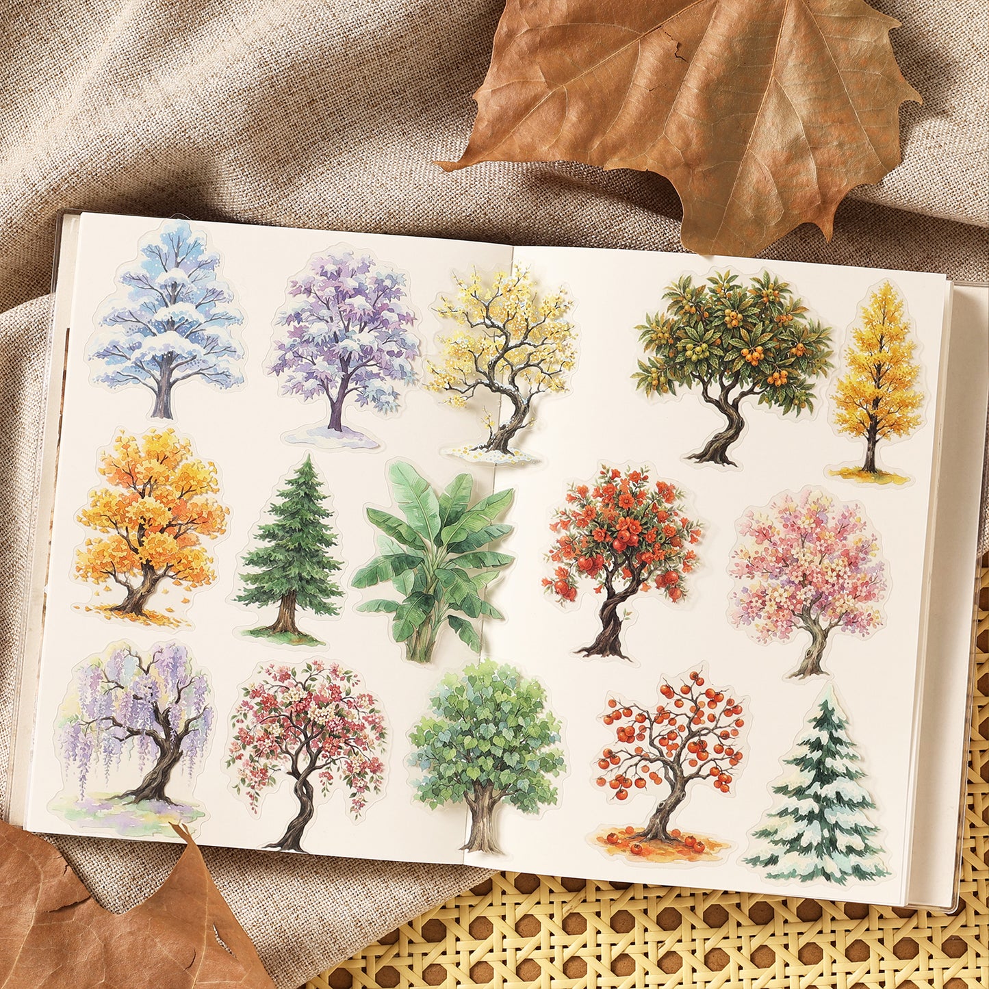 Seasonal Woodland Stickers
