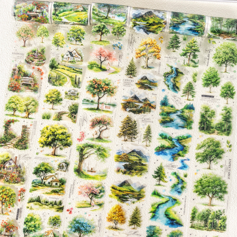 Scenery of A Tree Tape