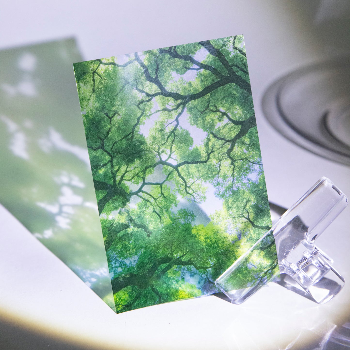 Summer Vibe Stickers