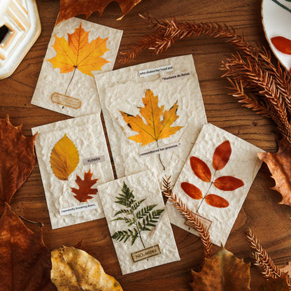 Fallen Leaves Observation Material Pack