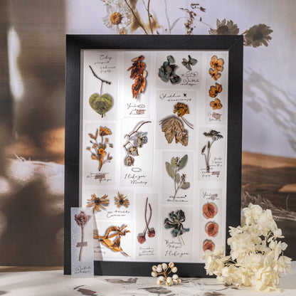 Gentle Flowers Papers