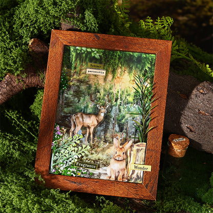 Forest Adventure Tape