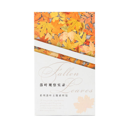 Fallen Leaves Observation Material Pack