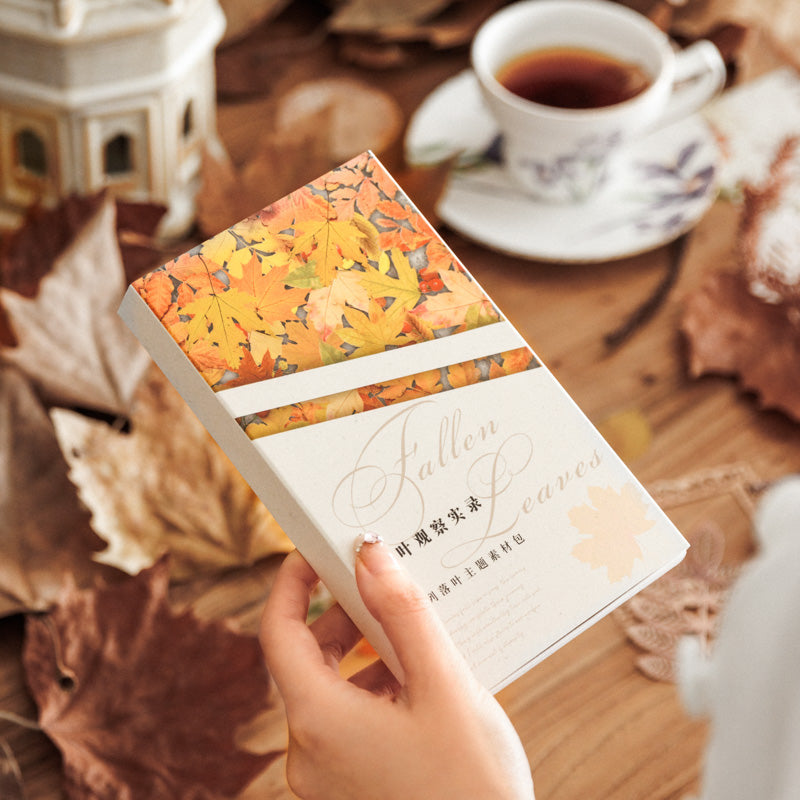 Fallen Leaves Observation Material Pack