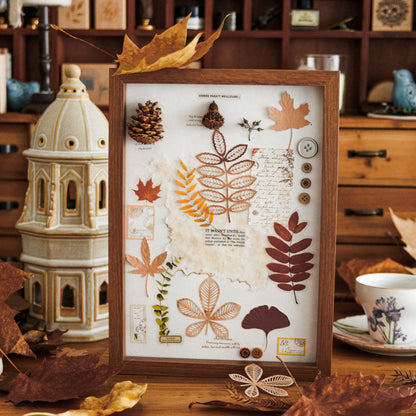 Fallen Leaves Observation Material Pack