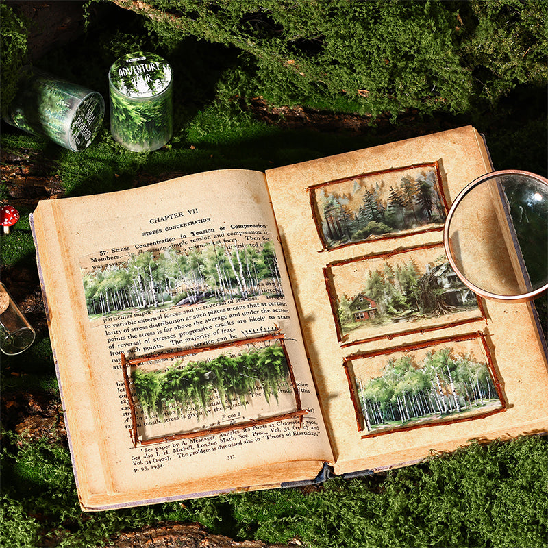 Forest Adventure Tape