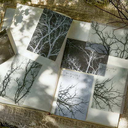 Nature as Painting Papers