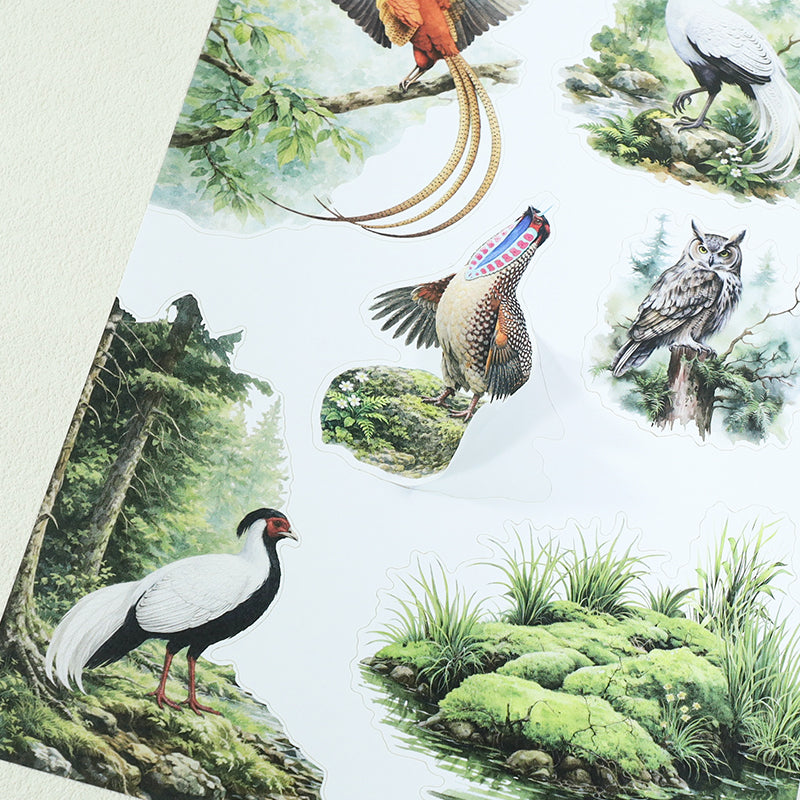 Animal Kingdom Sticker Book