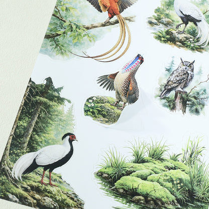 Animal Kingdom Sticker Book