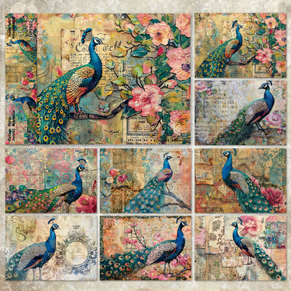 Peacock Papers 8pcs