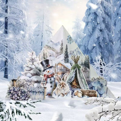 Ice and Snow Sticker Book