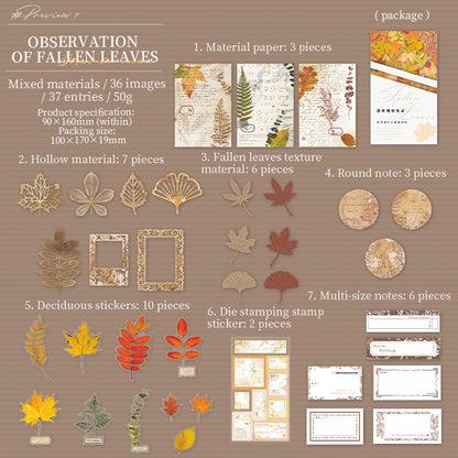 Fallen Leaves Observation Material Pack