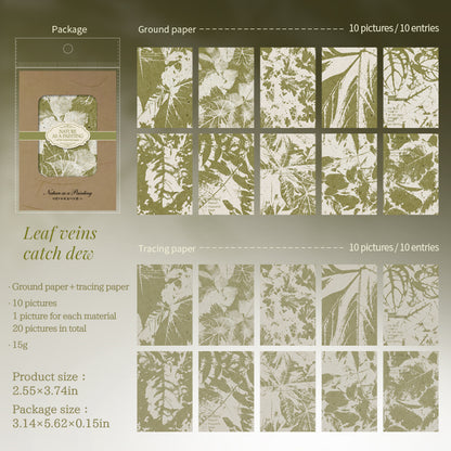 Nature as Painting Papers