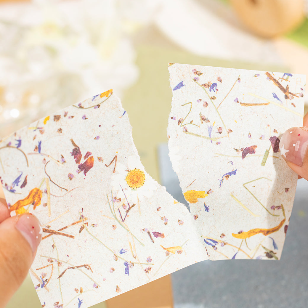 Timeless Letters Papers
