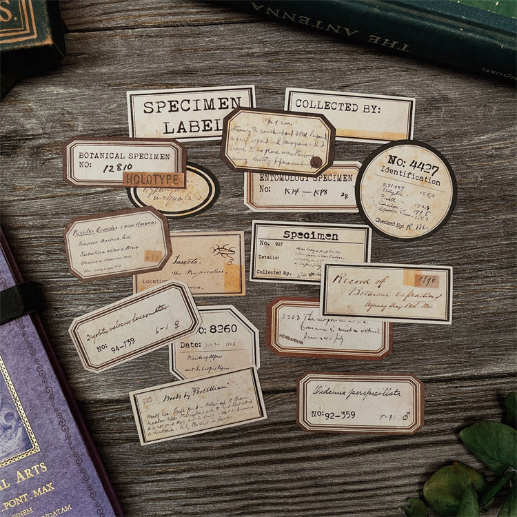 Custom Specimen Labels Tim Holtze Vintage Plant Specimens Label Stickers – Doodle Diarys