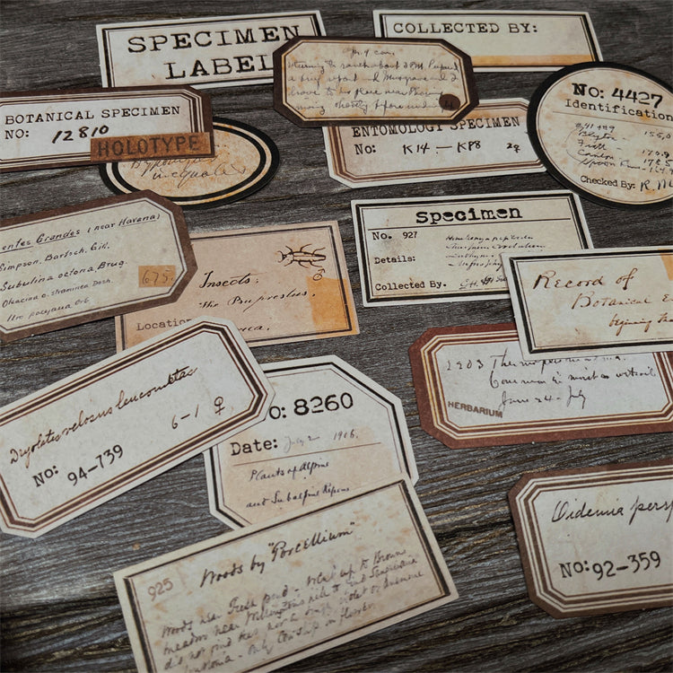 Custom Specimen Labels Tim Holtze Vintage Plant Specimens Label Stickers – Doodle Diarys